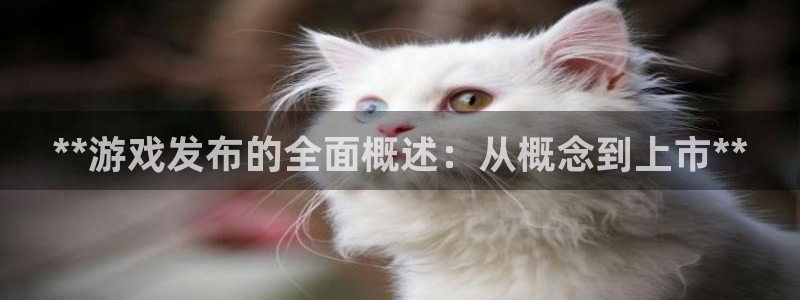 新航娱乐的会员权益与保障：**游戏发布的全面概述：从概念到上市**