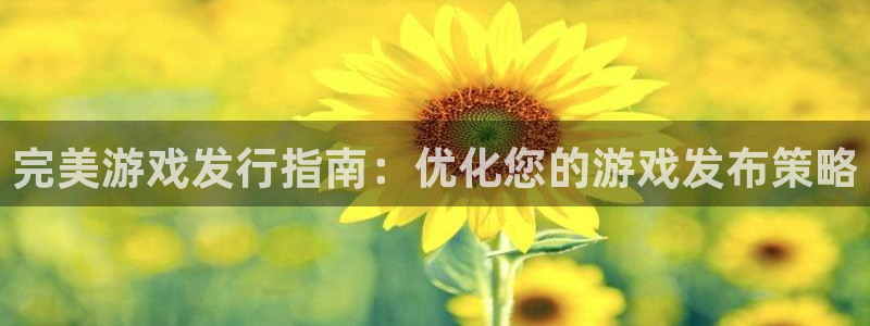 新航娱乐平台登录蒋渭水：完美游戏发行指南：优化您的游戏发布策略