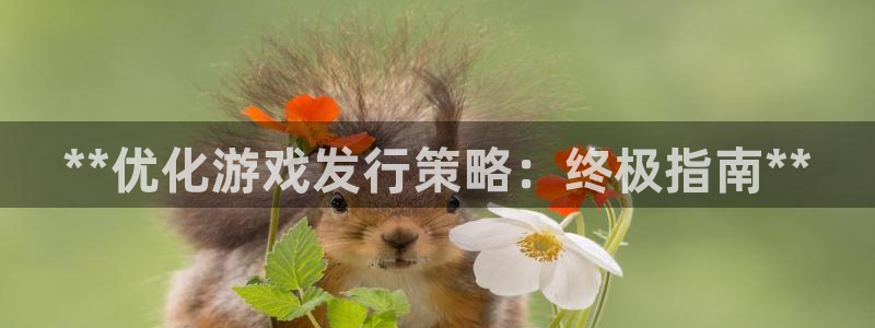 新航娱乐官网下载app：**优化游戏发行策略：终极指南**