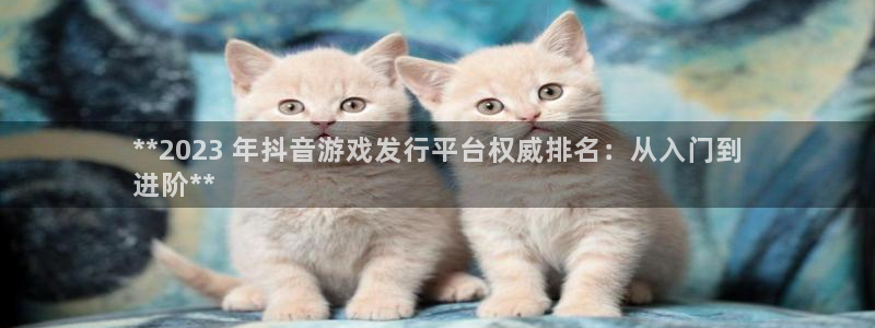 新航娱乐app的最新版本更新内容：**2023 年抖音游戏发行平台权威排名：从入门到
进阶**