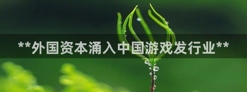 新航娱乐公司简介和历史背景：**外国资本涌入中国游戏发行业**
