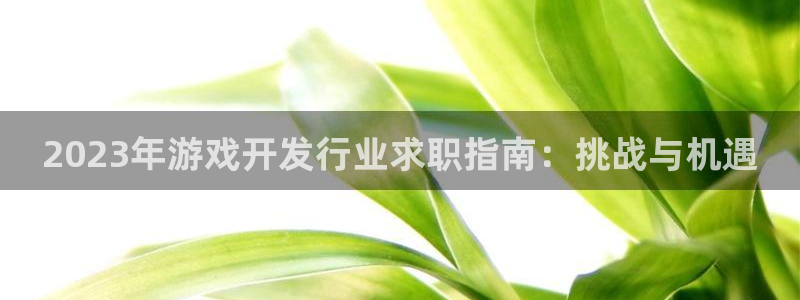 新航娱乐扣款后还能重新扣吗：2023年游戏开发行业求职指南：挑战与机遇