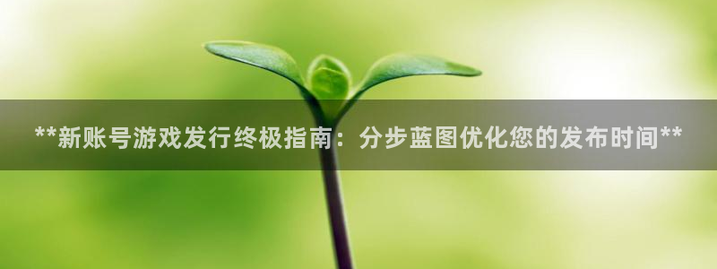 新航娱乐app最新版本更新内容在哪找：**新账号游戏发行终极指南：分步蓝图优化您的发布时间**