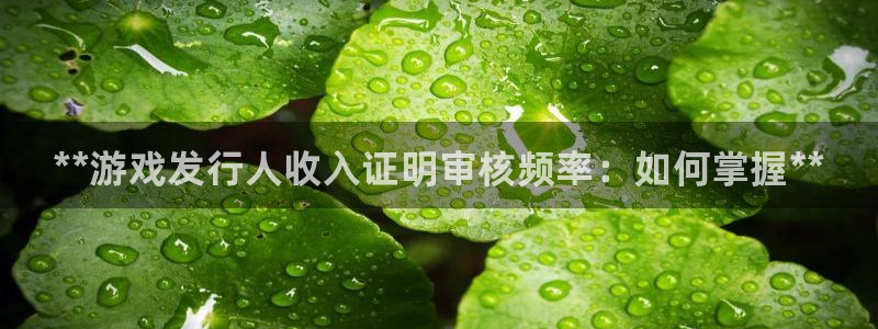 新航娱乐app手机版特色功能介绍：**游戏发行人收入证明审核频率：如何掌握**