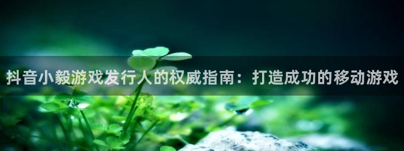 新航娱乐倒闭了吗知乎文章：抖音小毅游戏发行人的权威指南：打造成功的移动游戏