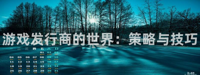 新航娱乐公司扣费流程详解