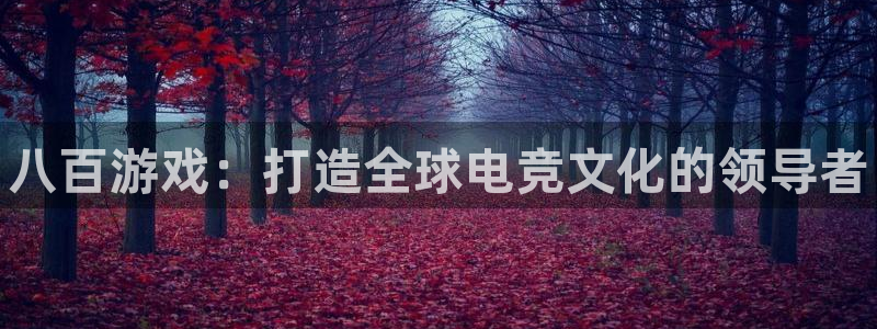 新航娱乐琏7.I.I.2最经典十首歌曲：八百游戏：打造全球电竞文化的领导者