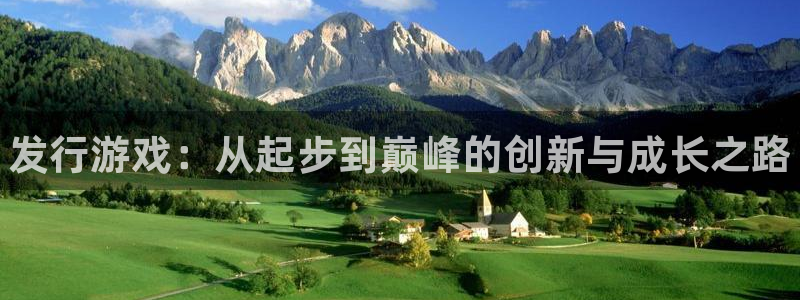 新航娱乐的员工工资福利及待遇怎么样：发行游戏：从起步到巅峰的创新与成长之路