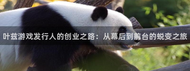 新航娱乐公司简介和历史背景怎么写：叶兹游戏发行人的创业之路：从幕后到前台的蜕变之旅