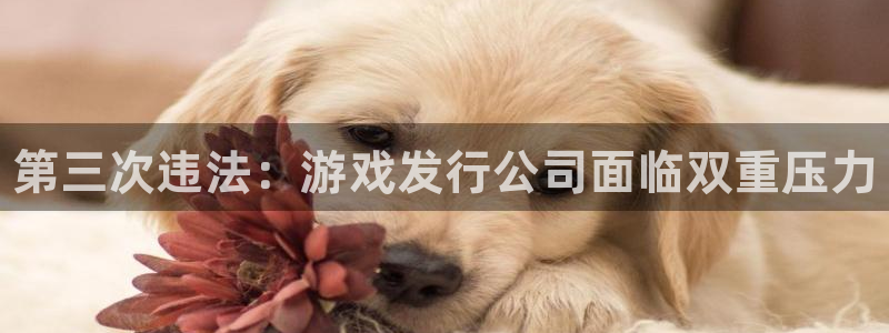 新航娱乐的背景和历史背景是什么：第三次违法：游戏发行公司面临双重压力