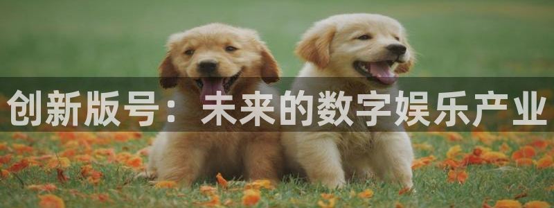 新航娱乐公司简介和历史背景怎么写：创新版号：未来的数字娱乐产业