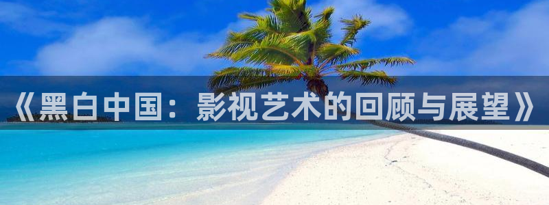 丫丫视频：《黑白中国：影视艺术的回顾与展望》