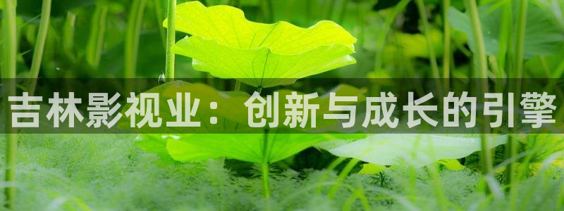 丫丫光棍影院：吉林影视业：创新与成长的引擎