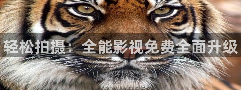 丫丫影院电视剧在线播放：轻松拍摄：全能影视免费全面升级