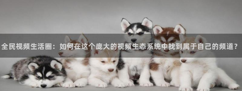 丫丫4410青苹果影院：全民视频生活圈：如何在这个庞大的视频生态系统中找到属于自己的频道？