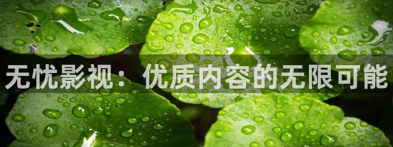丫丫4480私人影院免费：无忧影视：优质内容的无限可能