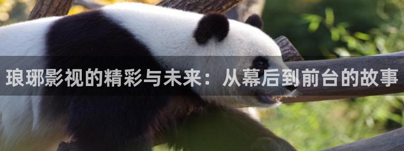 丫丫影视：琅琊影视的精彩与未来：从幕后到前台的故事